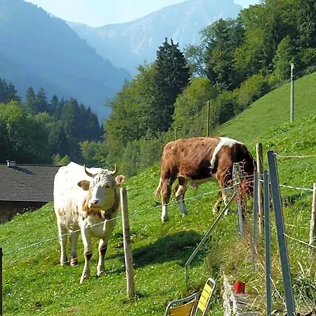Spacious Swiss Alpine For Nature Lovers 3* Villars-sur-Ollon
