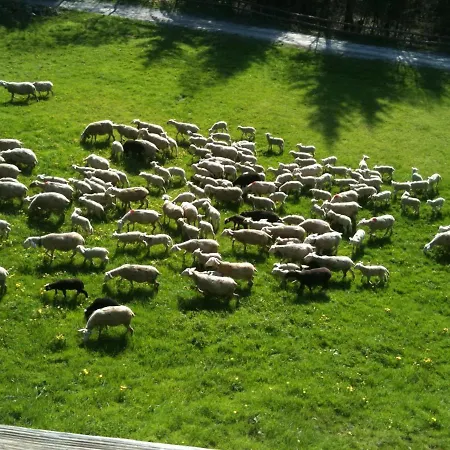 Alojamento de Acomodação e Pequeno-almoço Spacious Swiss Alpine For Nature Lovers Villars-sur-Ollon